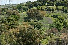 BernalRanch_SantaTeresaCP-168b.jpg