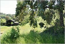 BernalRanch_SantaTeresaCP-175b.jpg