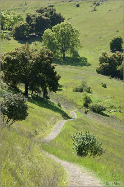 BernalRanch_SantaTeresaCP-218c.jpg - for personal use