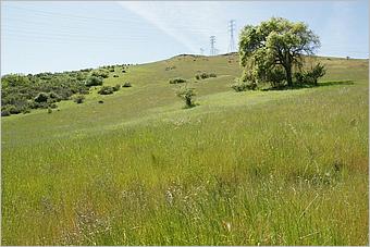 BernalRanch_SantaTeresaCP-178b.jpg