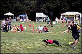 BarkinthePark04-27.jpg