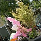 BunniesBonnets_Campbell09-181a1.jpg