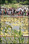 SVDuckRace08-086b.jpg