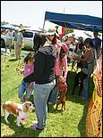 BeachBlanketBowWow09-146c.jpg