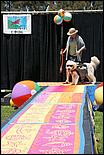 BeachBlanketBowWow09-186c.jpg