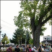 CampbellOktoberfest09-228b.jpg