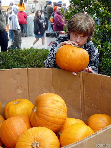 HMB_PumpkinFest-13d.jpg - for personal use