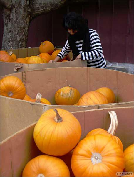 HMB_PumpkinFest-15d.jpg - for personal use