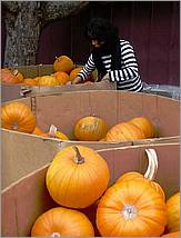 HMB_PumpkinFest-15d.jpg