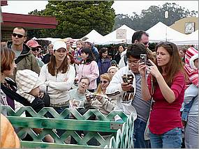 HMB_PumpkinFest-19c.jpg