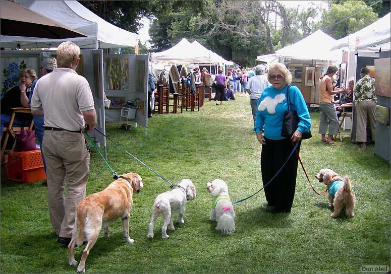 LosAltosPetParade06-087b.jpg