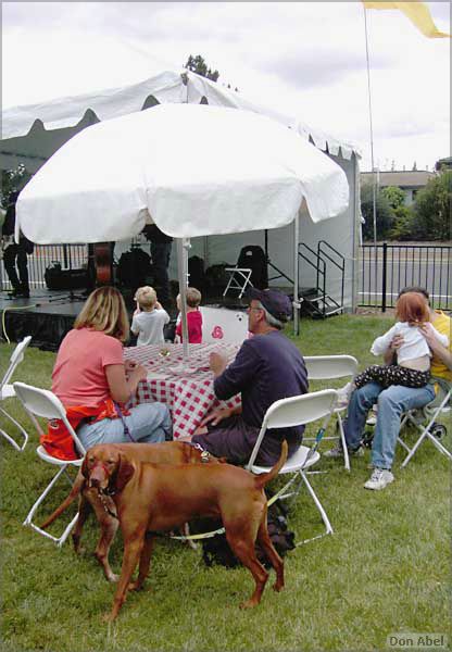 LosAltosPetParade06-064b.jpg