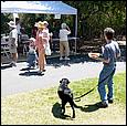 SaratogaRotaryArt07-107b.jpg