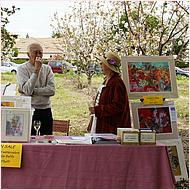 Saratoga Blossom Festival 2016-009-web.jpg