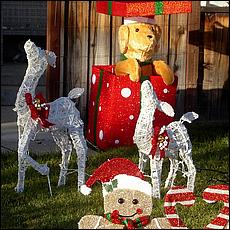 ChristmasDisplays25-12a.jpg