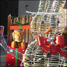 ChristmasDisplays25-14.jpg