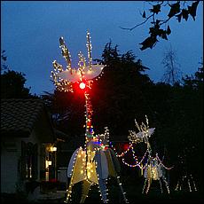 ChristmasDisplays25-144Sa.jpg