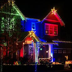 ChristmasDisplays25-185S.jpg