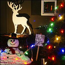ChristmasDisplays25-223Sa.jpg