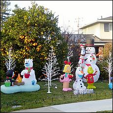 ChristmasDisplays25-67a.jpg