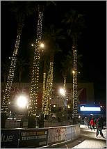 Christmas_inthe_Park08-243c.jpg