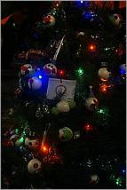 Christmas_inthe_Park08-351b1.jpg