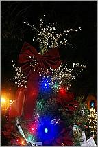 Christmas_inthe_Park08-360b1.jpg