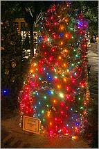 Christmas_inthe_Park08-389c.jpg