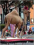 LosGatosChristmasParade07-205c.jpg