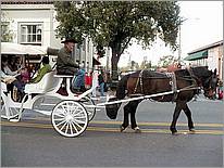 LosGatosChristmasParade07-219c.jpg