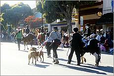 LosGatosChristmasParade08-294c.jpg