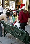 LosGatosChristmasParade08-338a1.jpg