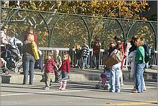 LosGatosChristmasParade08-353c.jpg