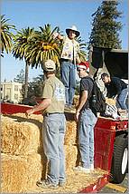 LosGatosChristmasParade08-398c.jpg