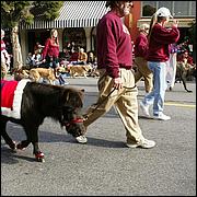 LosGatosChristmasParade09-417b.jpg