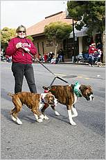 LosGatosChristmasParade09-419b.jpg