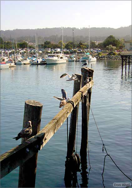 Dixieland_Monterey05-26b.jpg