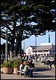 Dixieland_Monterey05-55b.jpg
