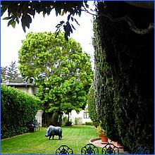 Monterey_SEP2015-029-web.jpg