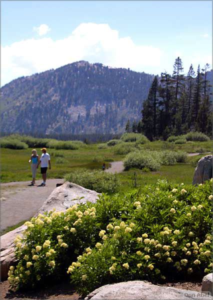 Tahoe_JUL05-65b.jpg