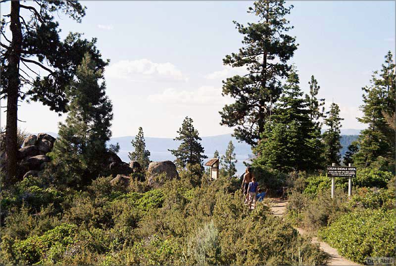 Tahoe_JUL05-a02b.jpg