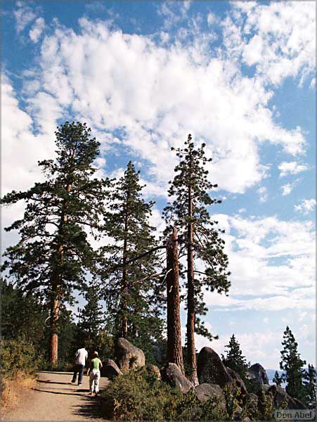 Tahoe_JUL05-a04b.jpg