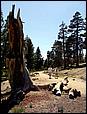 Tahoe_JUL05-49b.jpg