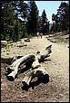 Tahoe_JUL05-50a.jpg