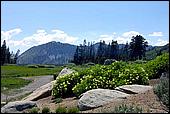 Tahoe_JUL05-64c.jpg