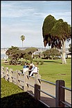 LaJolla-29.jpg