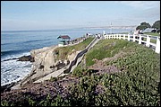 LaJolla-33.jpg