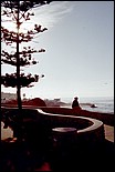 LaJolla-34a.jpg