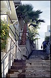 LaJolla-36.jpg