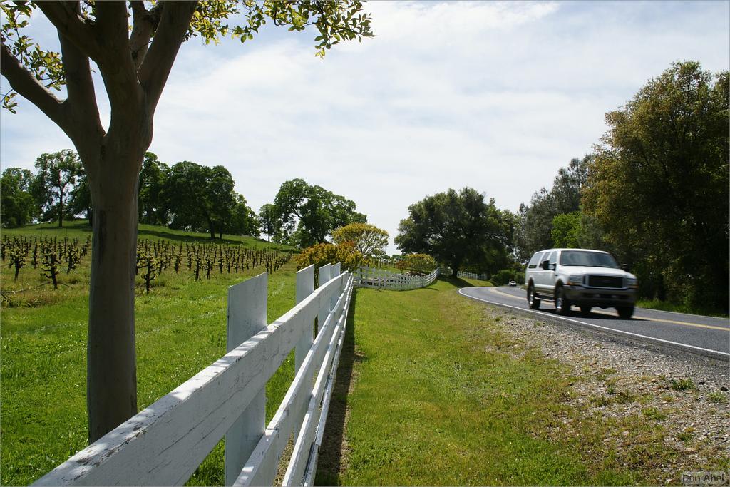 GoldCountry10-117-ShenandoahRdWineries-web.jpg - for personal use